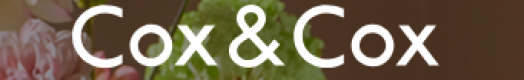 Cox And Cox